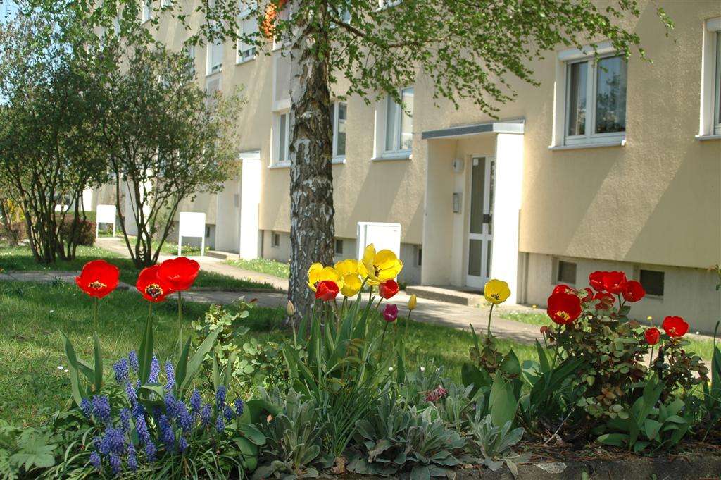 Thumbnail-Wohnung zum Mieten in Pirna 354,14 € 57.12 m²