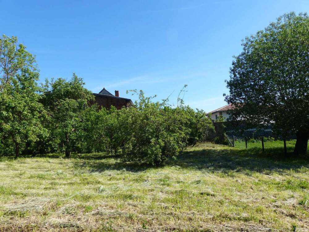 Thumbnail-Grundstück zu verkaufen in Levitzow 45.000,00 € 790 m²