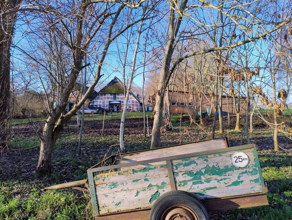 Thumbnail-Haus zum Kaufen in stadland 171.000,00 € 129 m²