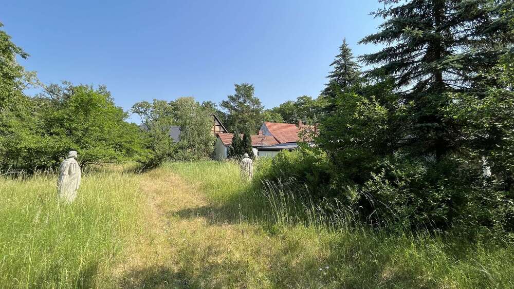Thumbnail-Grundstück zu verkaufen in Kemberg 480.000,00 € 5033 m²