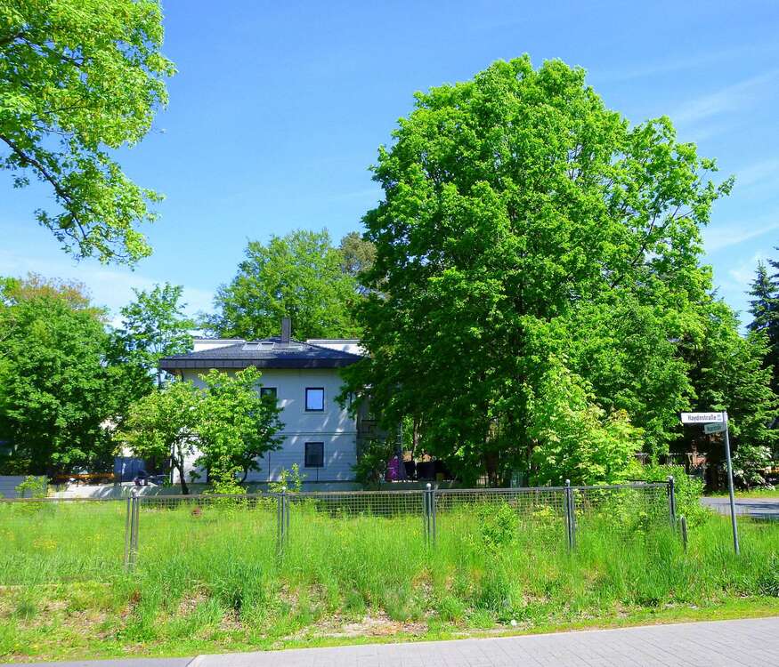 Thumbnail-Grundstück zu verkaufen in Schildow 310.000,00 € 596 m²
