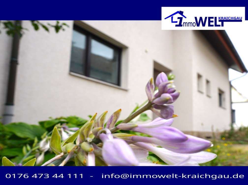Thumbnail-Haus zum Kaufen in Walldorf 649.000,00 € 200 m²