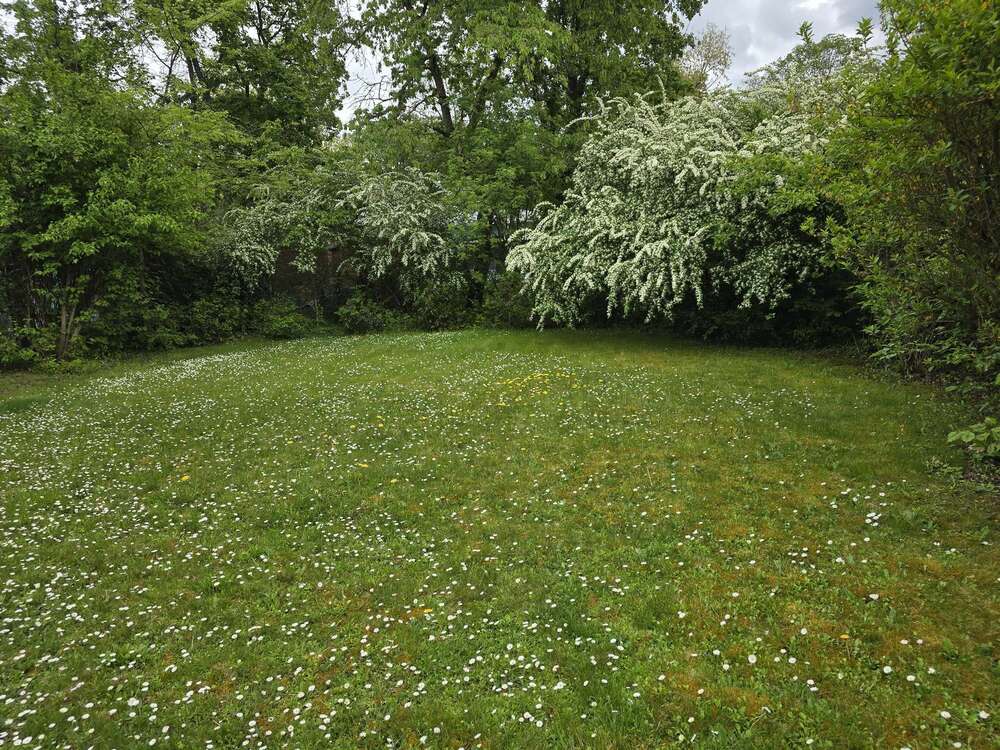 Thumbnail-Haus zum Kaufen in Mannheim 1.200.000,00 € 259.2 m²