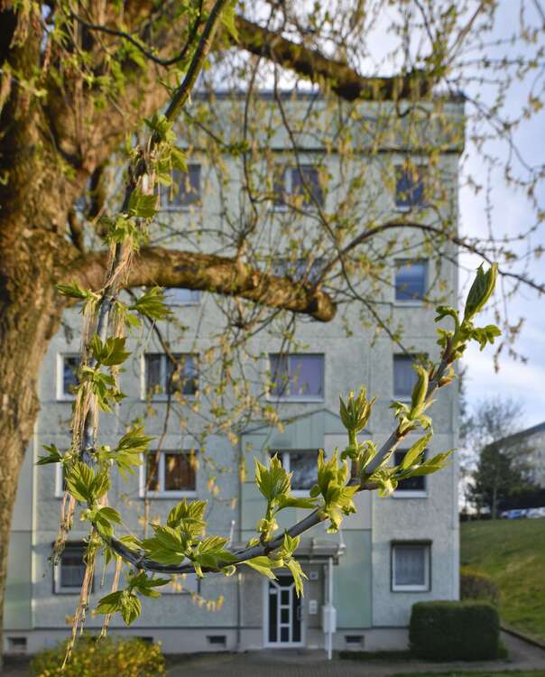 Thumbnail-Wohnung zum Mieten in Gotha 330,00 € 50.7 m²