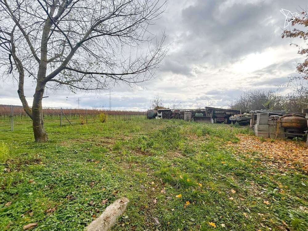 Thumbnail-Grundstück zu verkaufen in Gensingen 279.000,00 € 1377 m²