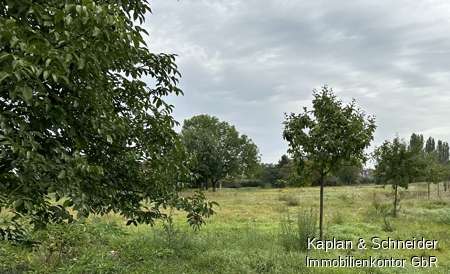 Thumbnail-Grundstück zu verkaufen in Niddatal Kaichen 75.000,00 € 548 m²