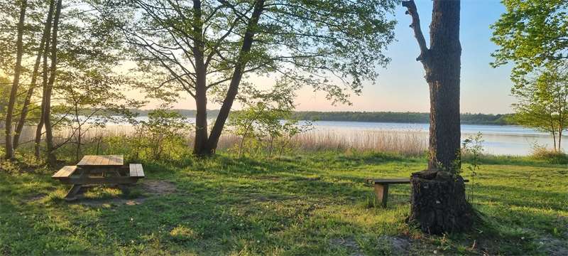 Thumbnail-Haus zum Kaufen in Bestensee 725.000,00 € 184 m²