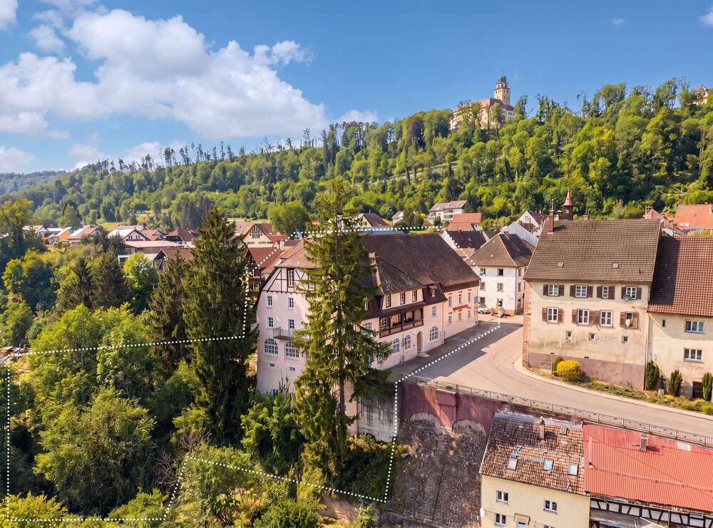 Thumbnail-Haus zum Kaufen in Stühlingen 1.059.000,00 € 640 m²