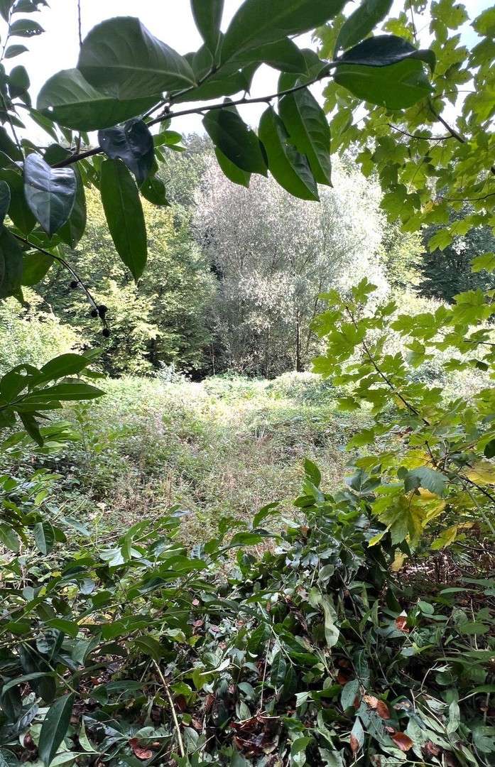 Thumbnail-Grundstück zu verkaufen in Velbert 300.000,00 € 1000 m²