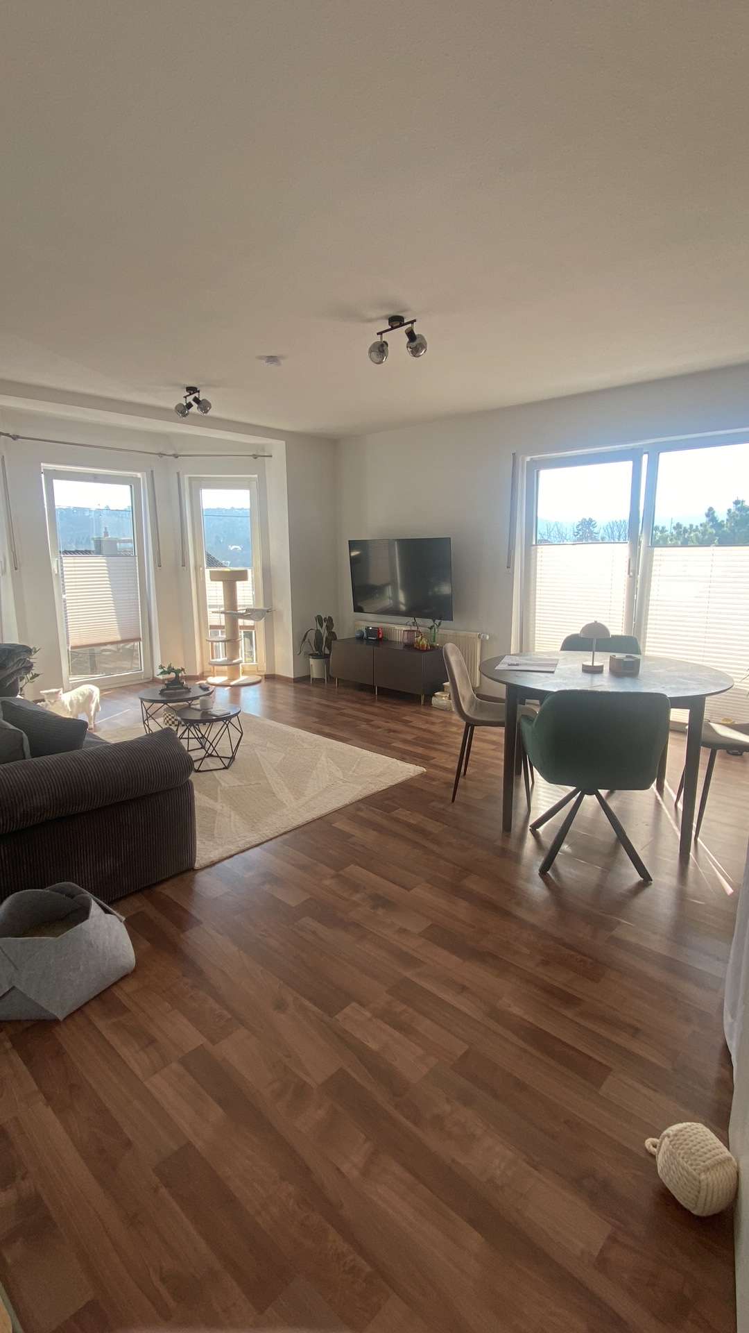 Thumbnail-Wohnung zum Mieten in Koblenz 1.050,00 € 97 m²