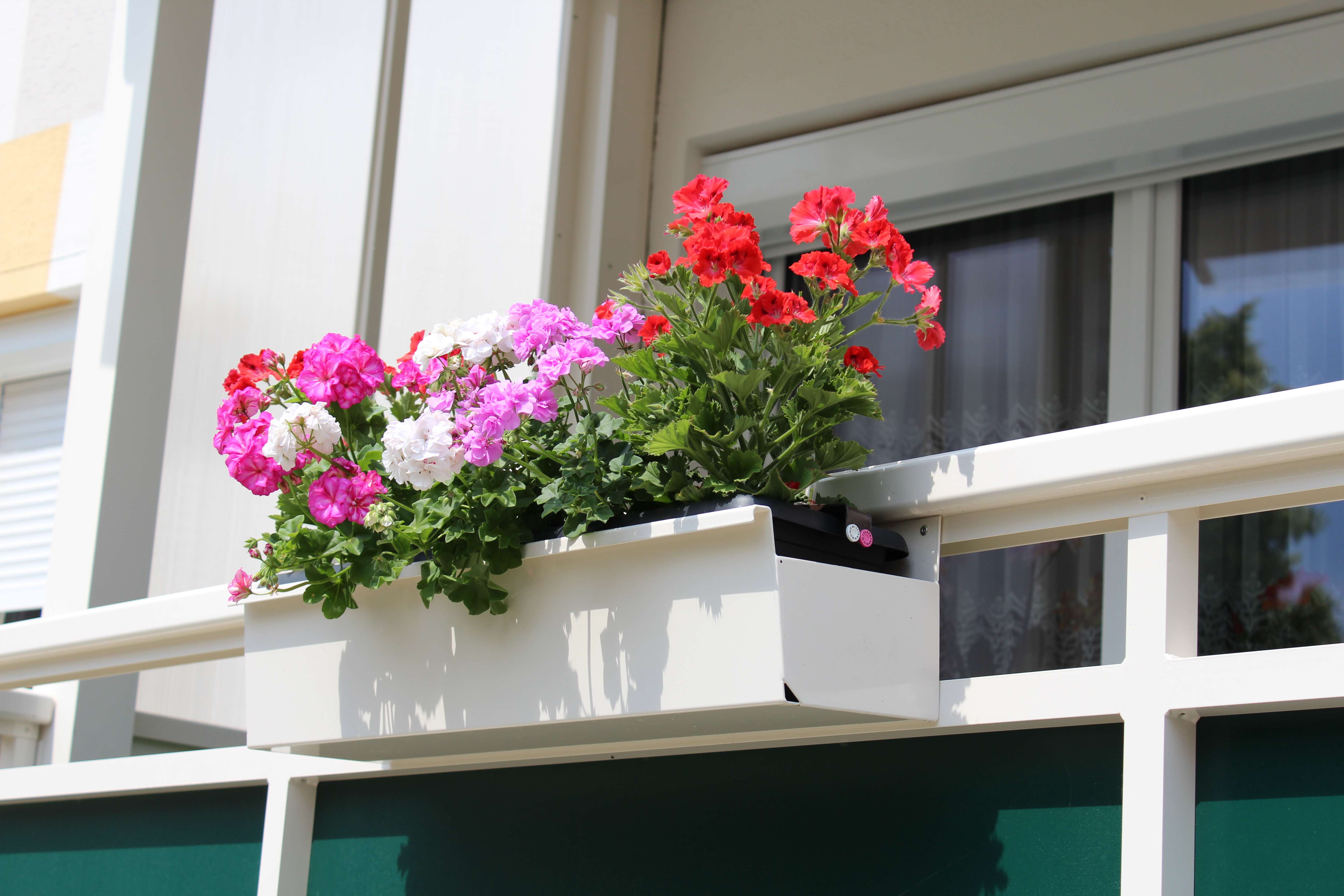 Thumbnail-Wohnung zum Mieten in Niesky 295,20 € 41 m²