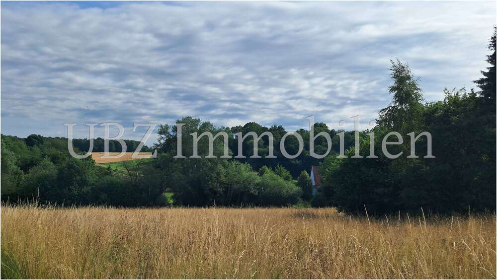 Thumbnail-Haus zum Kaufen in Alzenau 560.000,00 € 178 m²