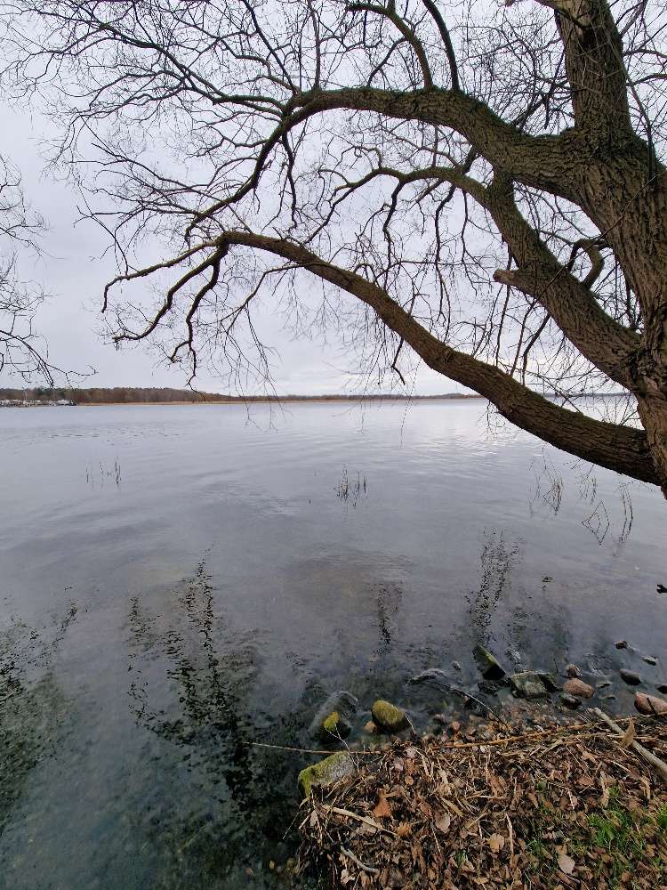 Thumbnail-Grundstück zu verkaufen in Werder 580.000,00 € 6000 m²