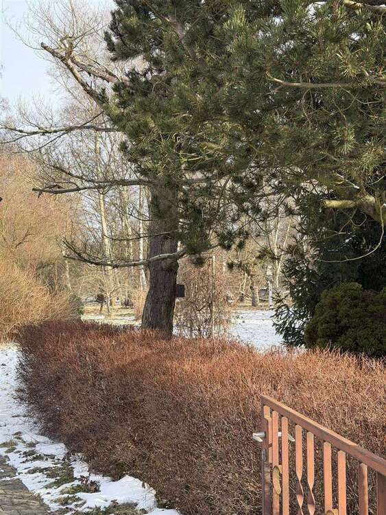 Thumbnail-Grundstück zu verkaufen in Panketal 160.000,00 € 515 m²