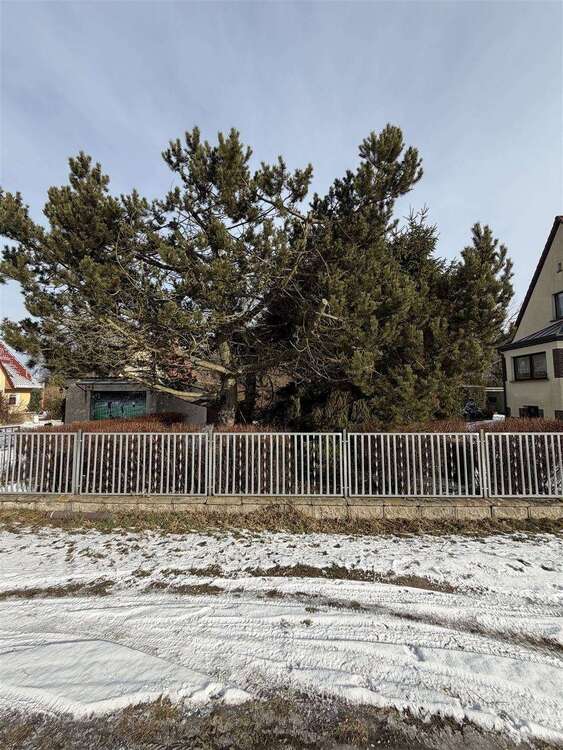 Thumbnail-Grundstück zu verkaufen in Panketal 260.000,00 € 927 m²