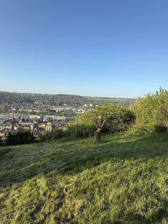 Thumbnail-Grundstück zu verkaufen in Esslingen am Neckar 37.000,00 € 937 m²