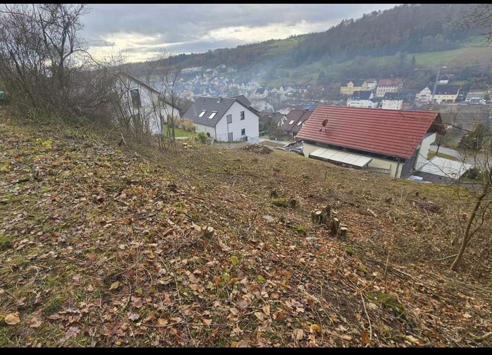 Thumbnail-Grundstück zu verkaufen in Wildberg 170.000,00 € 754 m²