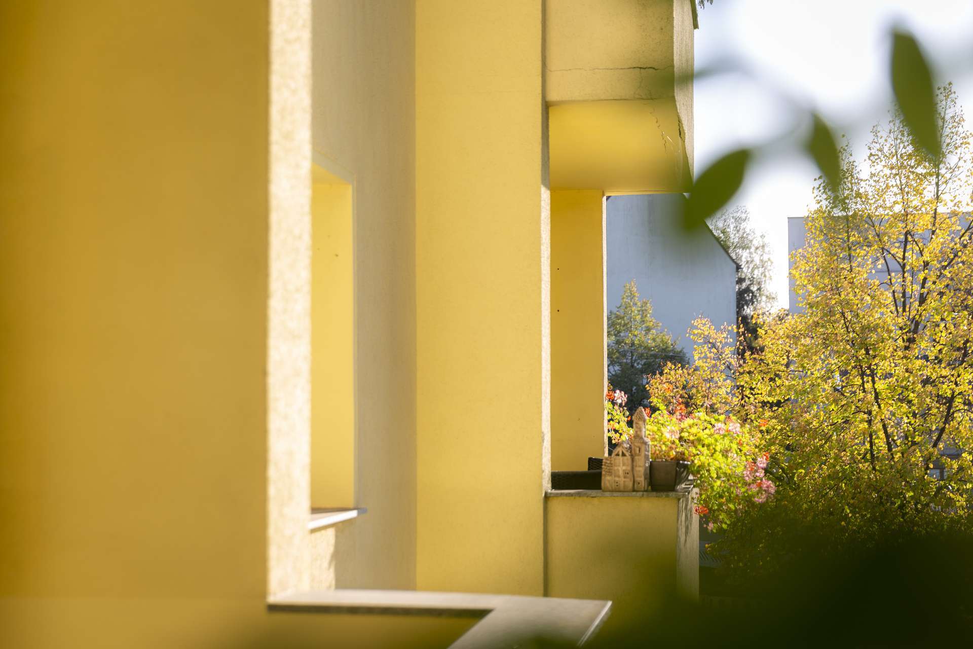 Thumbnail-Wohnung zum Mieten in Magdeburg 799,00 € 73 m²