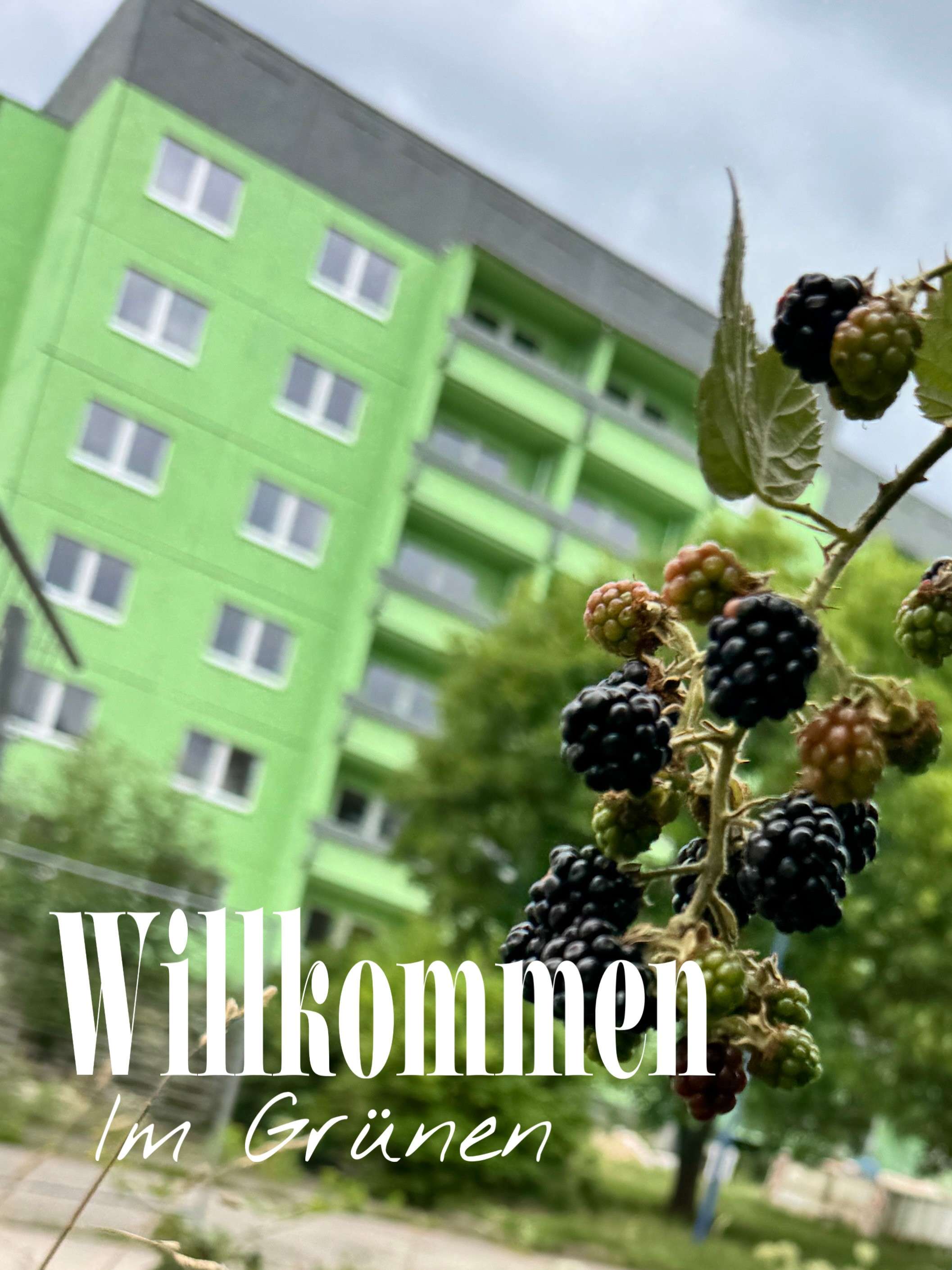 Thumbnail-Wohnung zum Mieten in Rötha 272,25 € 36.3 m²
