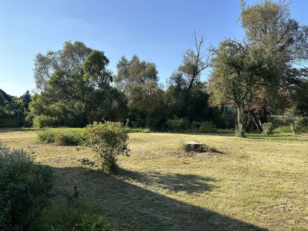 Thumbnail-Grundstück zu verkaufen in Halbe 249.000,00 € 5535 m²