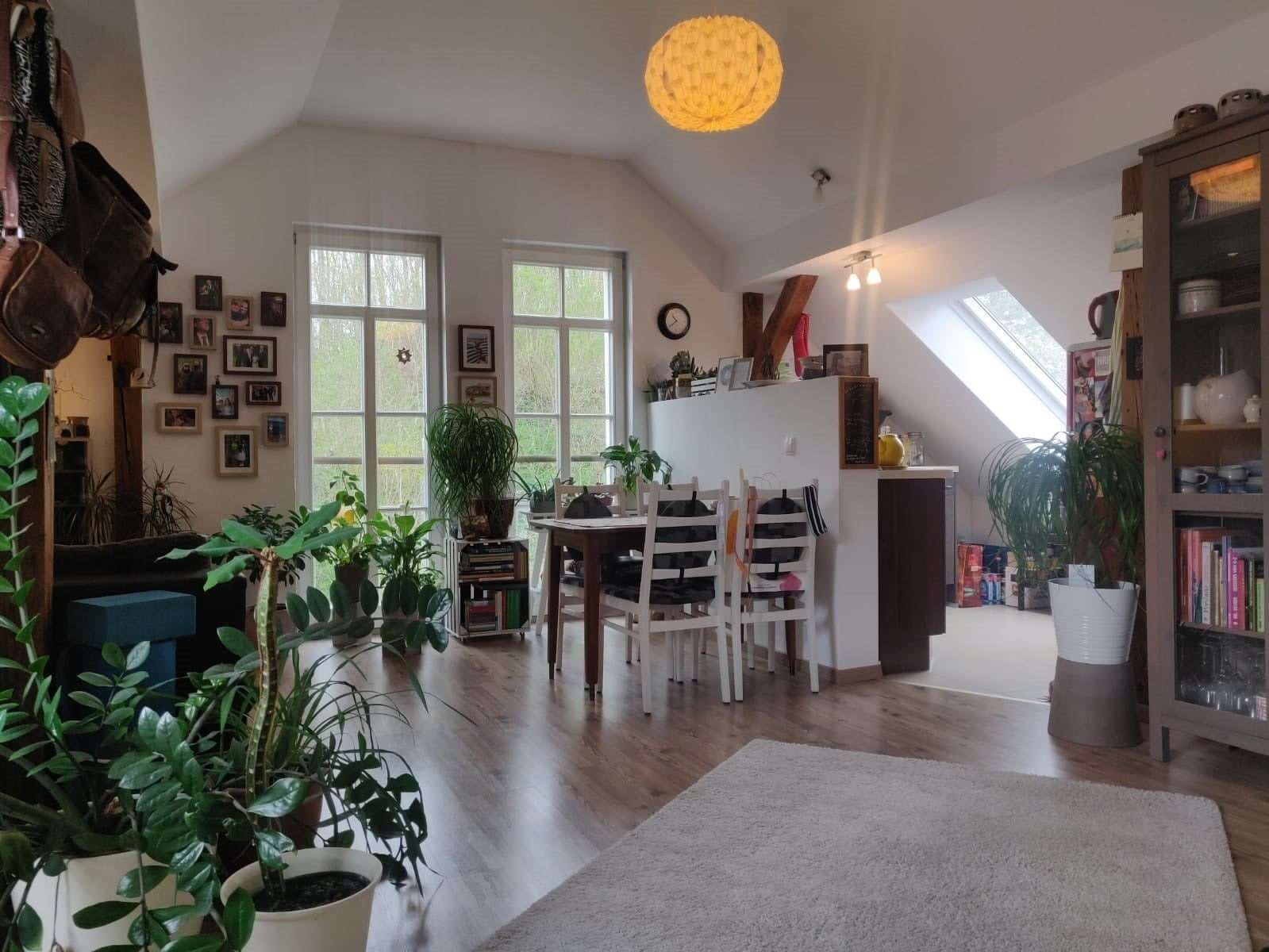 Thumbnail-Wohnung zum Mieten in Dresden 530,00 € 49.5 m²