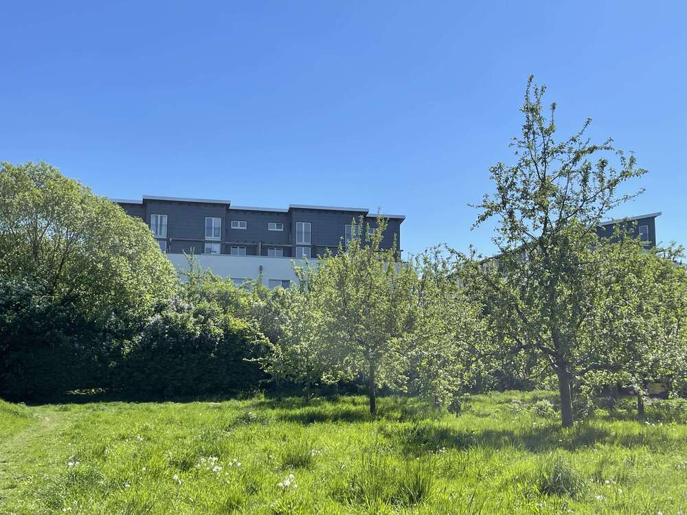 Thumbnail-Wohnung zum Kaufen in Hamburg 389.000,00 € 67 m²