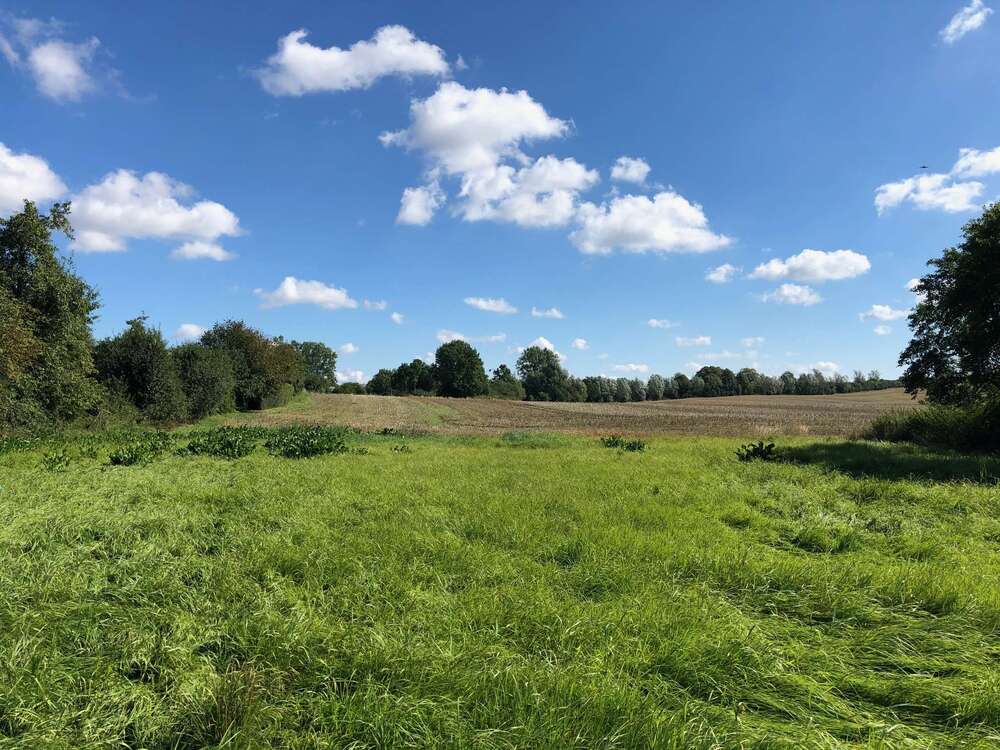 Thumbnail-Haus zum Kaufen in Kriesow 355.335,00 € 130 m²