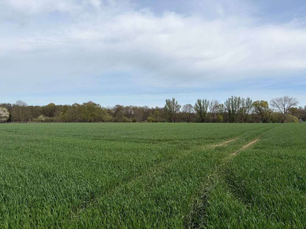 Thumbnail-Grundstück in Krefeld 237.000,00 € 19808 m²