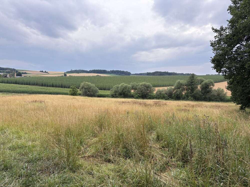 Thumbnail-Grundstück in Hohenthann 744.188,00 € 80295 m²