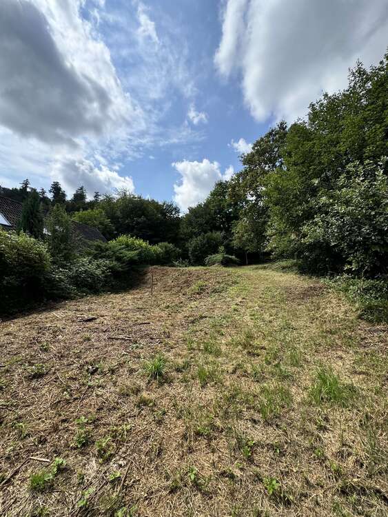 Thumbnail-Grundstück zu verkaufen in Fischbachtal 199.000,00 € 1362 m²