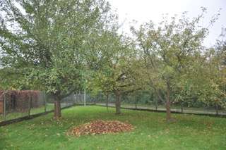 Thumbnail-Grundstück zu verkaufen in Hattersheim am Main 1.160.000,00 € 889 m²