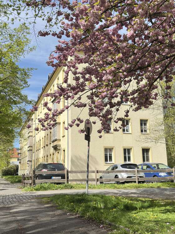 Thumbnail-Wohnung zum Mieten in Zwickau 550,00 € 88 m²