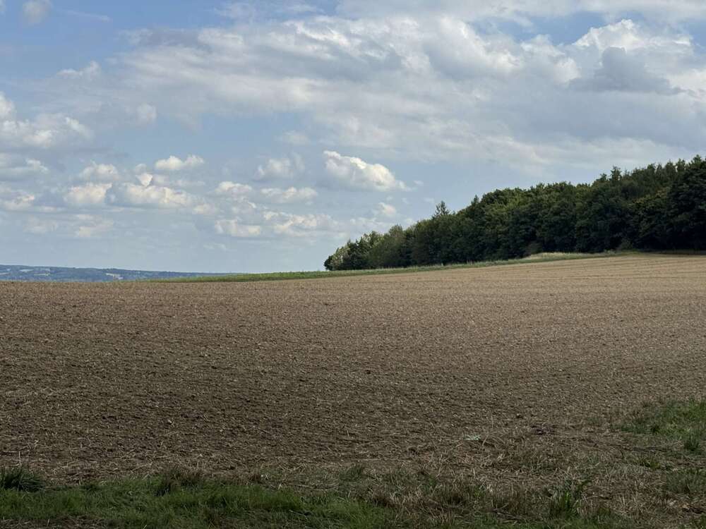 Thumbnail-Grundstück in Essenbach 246.225,00 € 14070 m²