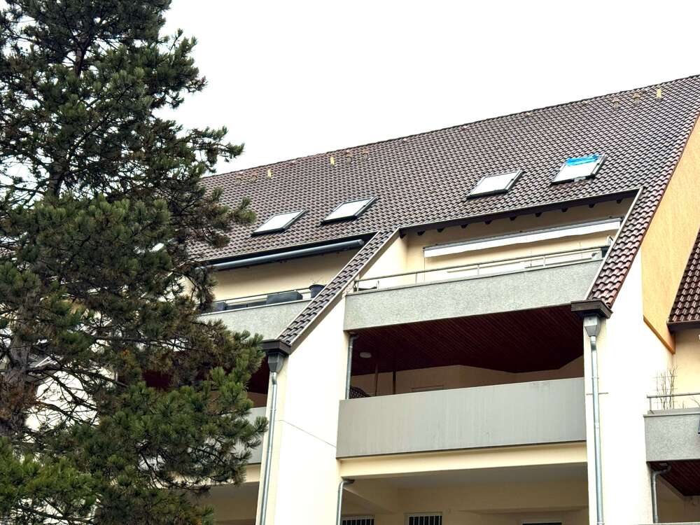 Thumbnail-Wohnung zum Kaufen in Waldkirch-Kollnau 399.000,00 € 144 m²