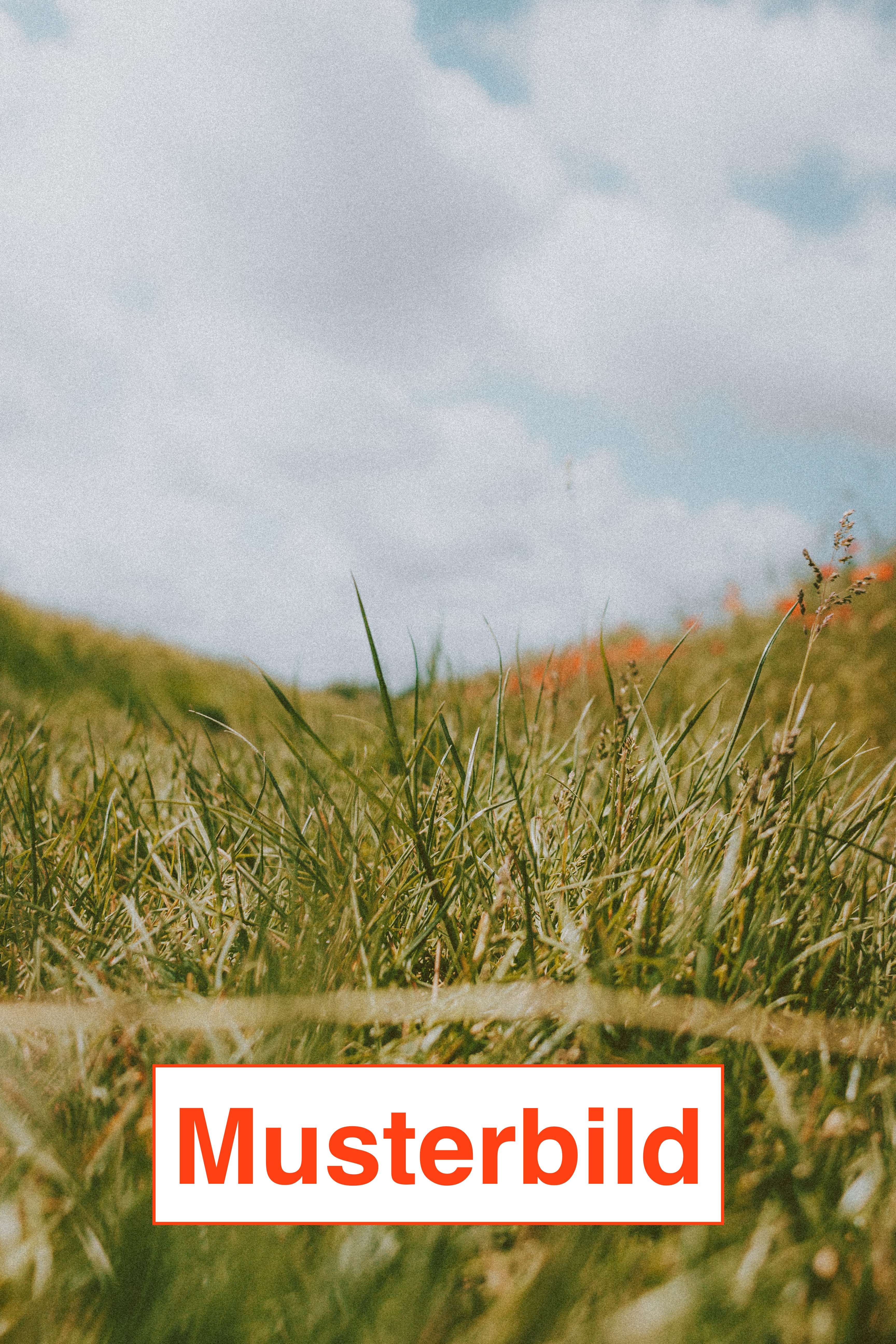 Thumbnail-Grundstück zu verkaufen in Moosthenning 220.000,00 € 819 m²