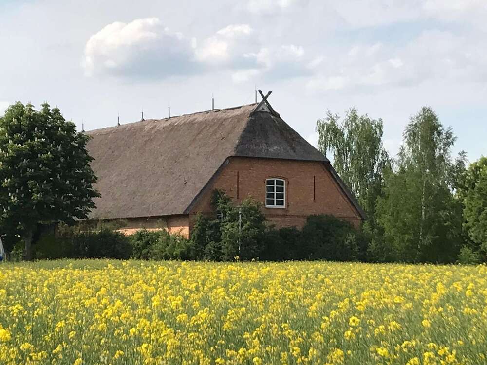 Thumbnail-Grundstück zu verkaufen in Gielow 349.000,00 € 3529 m²