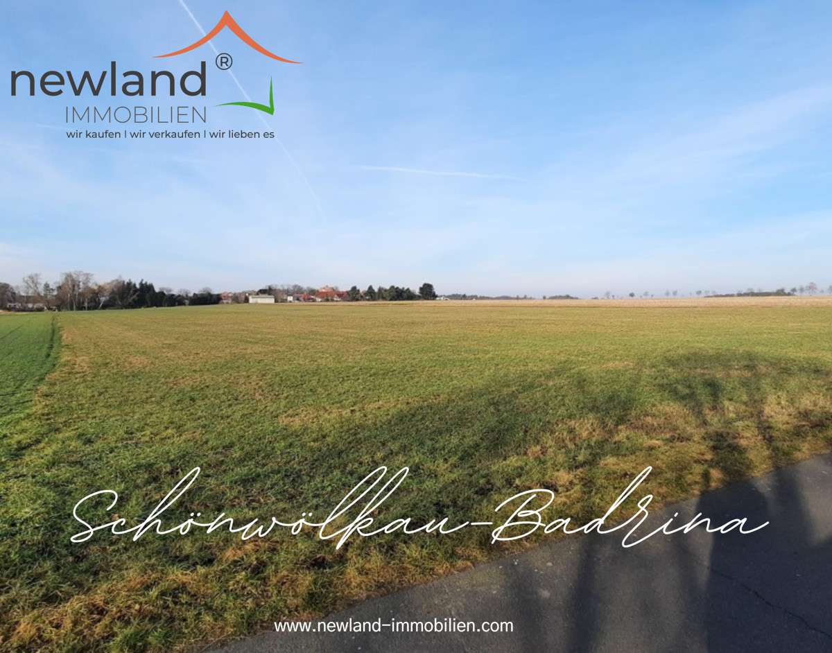 Thumbnail-Grundstück zu verkaufen in Schönwölkau Badrina 49.001,00 € 20822 m²