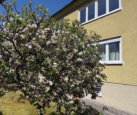 Thumbnail-Haus zum Kaufen in Dachau 1.075.000,00 € 176.32 m²