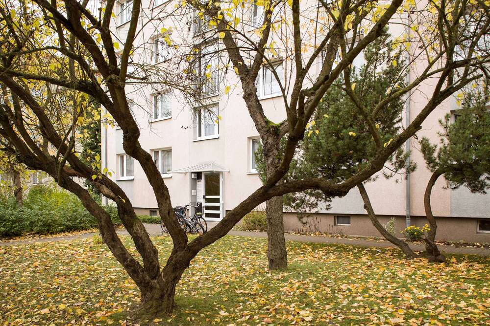 Thumbnail-Wohnung zum Mieten in Neubrandenburg 649,00 € 62.14 m²