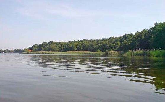 Thumbnail-Haus zum Kaufen in Berlin 1.150.000,00 € 300 m²