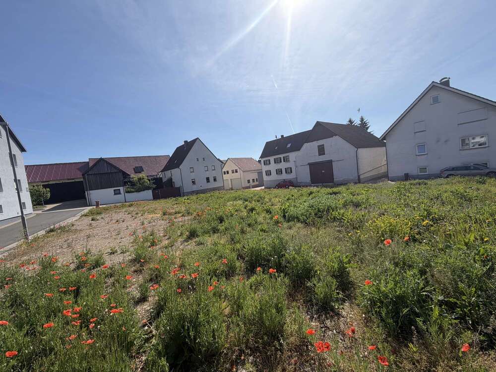 Thumbnail-Grundstück zu verkaufen in Großrinderfeld 180.000,00 € 1200 m²