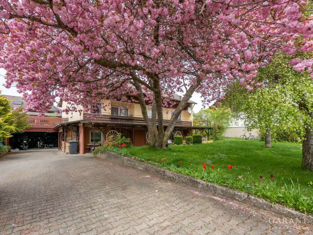 Thumbnail-Haus zum Kaufen in Laichingen 520.000,00 € 201 m²