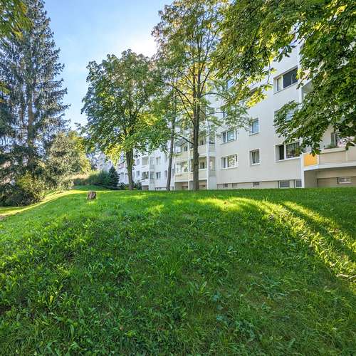 Thumbnail-Wohnung zum Mieten in Freiberg 325,00 € 50 m²