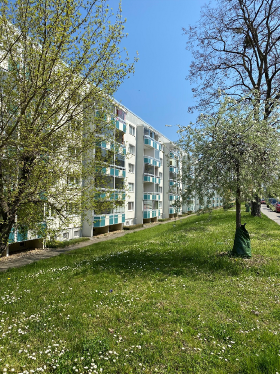 Thumbnail-Wohnung zum Mieten in Wernigerode 368,74 € 58.53 m²