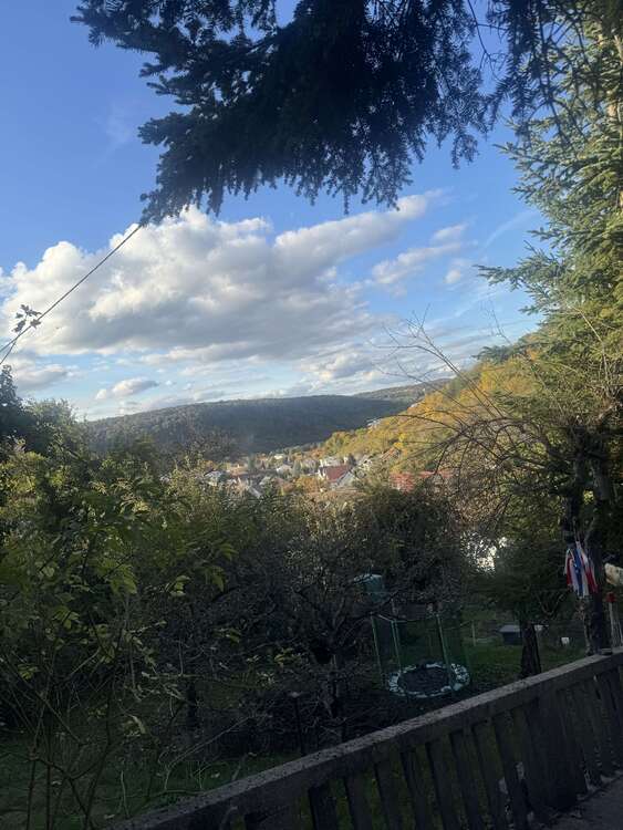 Thumbnail-Haus zum Kaufen in Mosbach 449.000,00 € 175 m²