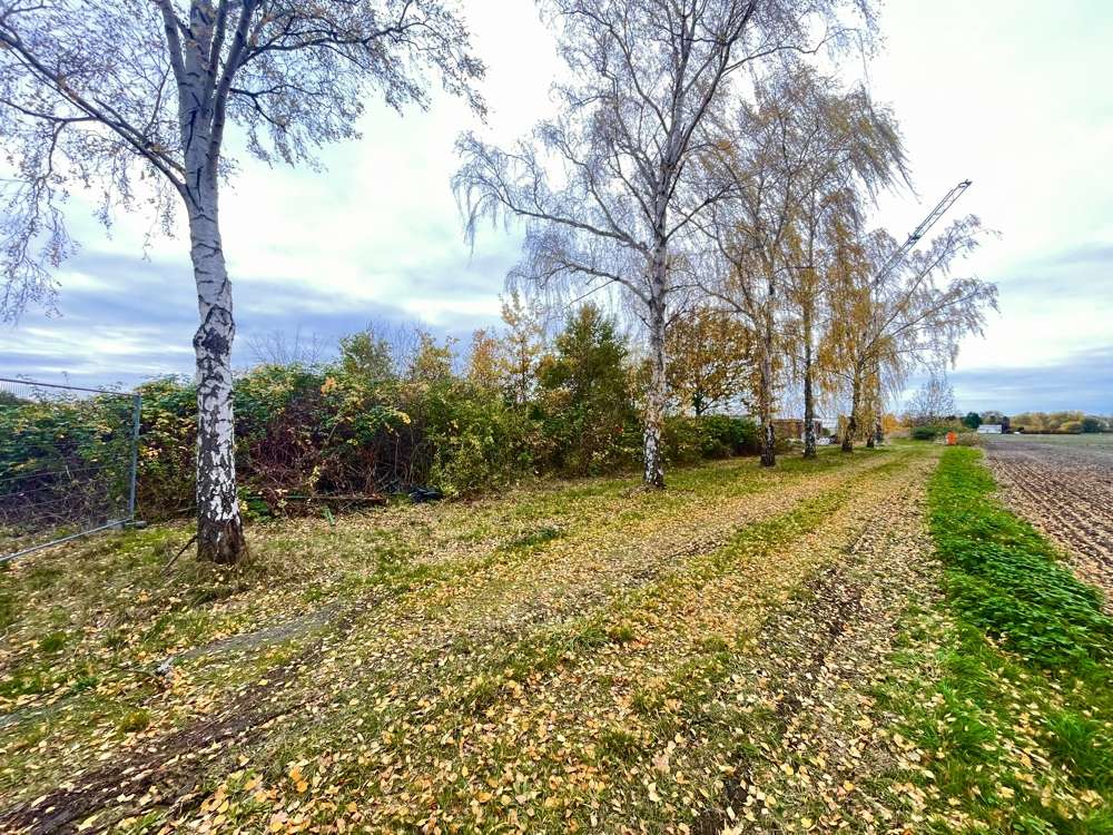Thumbnail-Grundstück in Lehrte 15.600,00 € 11500 m²