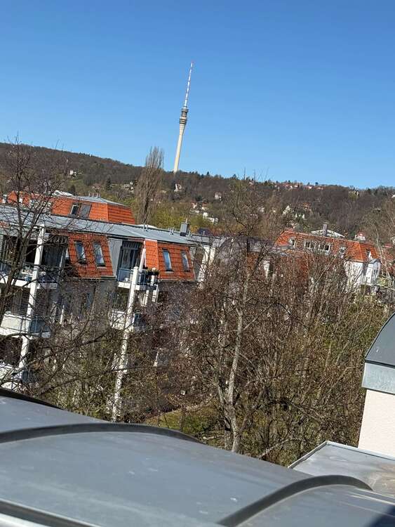 Thumbnail-Wohnung zum Mieten in Dresden 395,00 € 41 m²