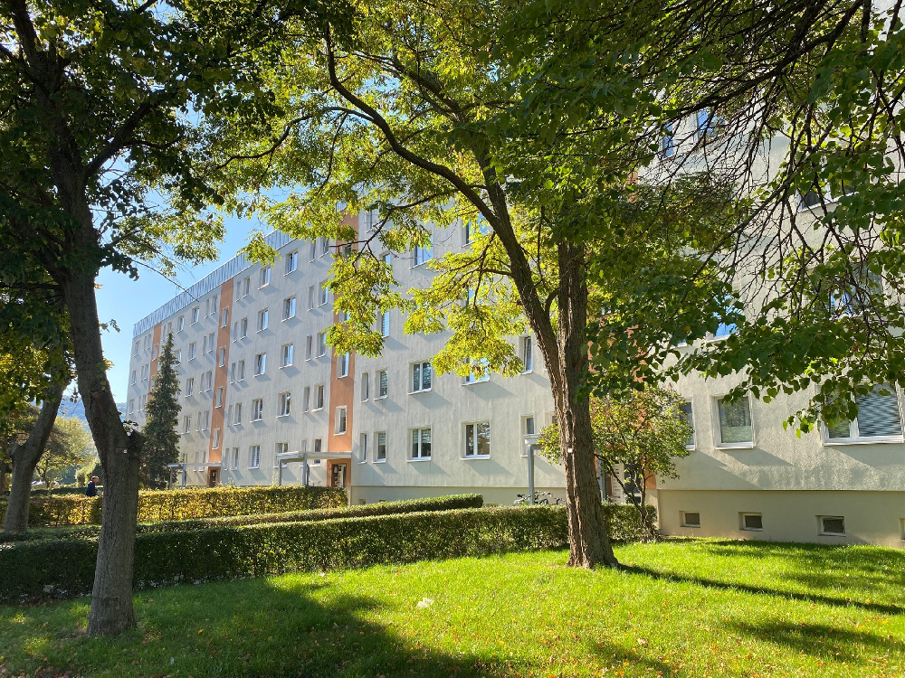 Thumbnail-Wohnung zum Mieten in Wernigerode 193,30 € 26.81 m²