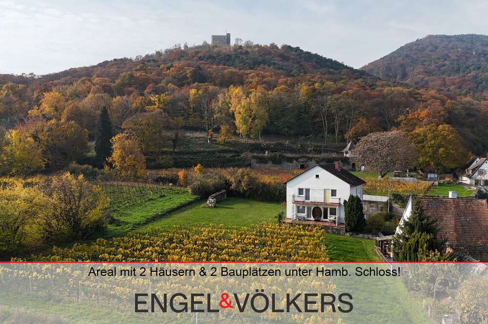 Thumbnail-Haus zum Kaufen in Neustadt an der Weinstraße 885.000,00 € 321 m²