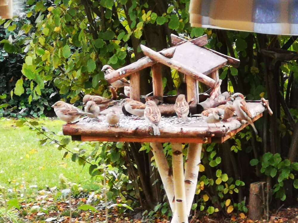 Thumbnail-Haus zum Kaufen in Bahretal 406.634,00 € 125 m²